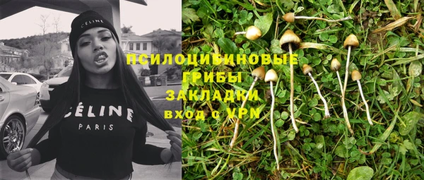 трава Ельня