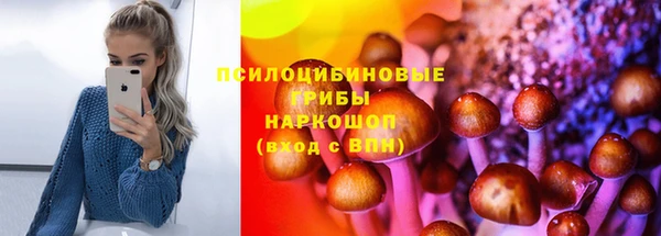 не бодяженный Богородицк