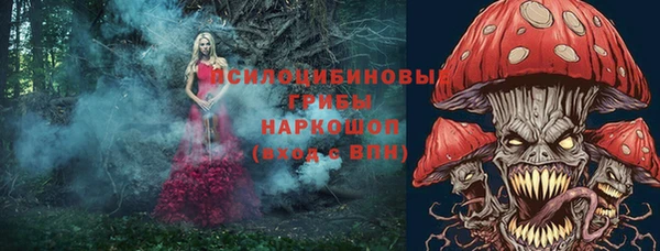 не бодяженный Богородицк