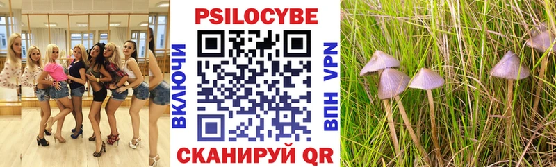 Псилоцибиновые грибы GOLDEN TEACHER гидра зеркало Вязьма
