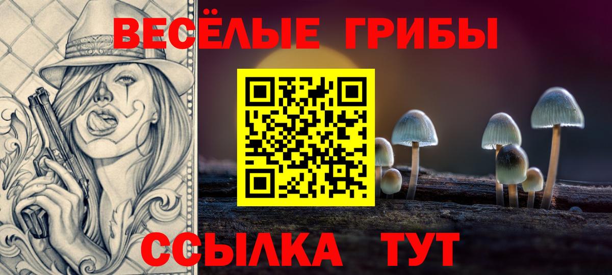 Вязьма  Галлюциногенные грибы мицелий  Вход с VPN  Галлюциногенные грибы Cubensis 